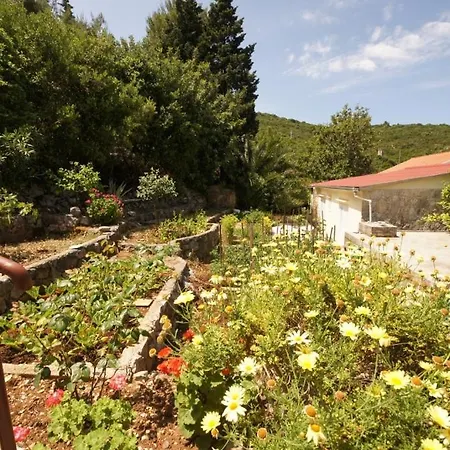 Holiday Home *