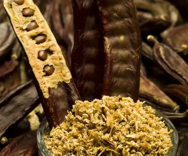 Ferienhaus Holiday Home *