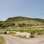 Дом отдыха Holiday Home *