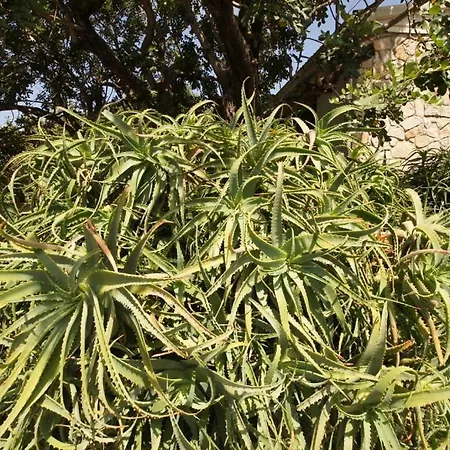 Holiday Home Nyaraló *