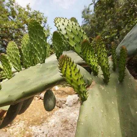 Holiday Home Nyaraló Vis